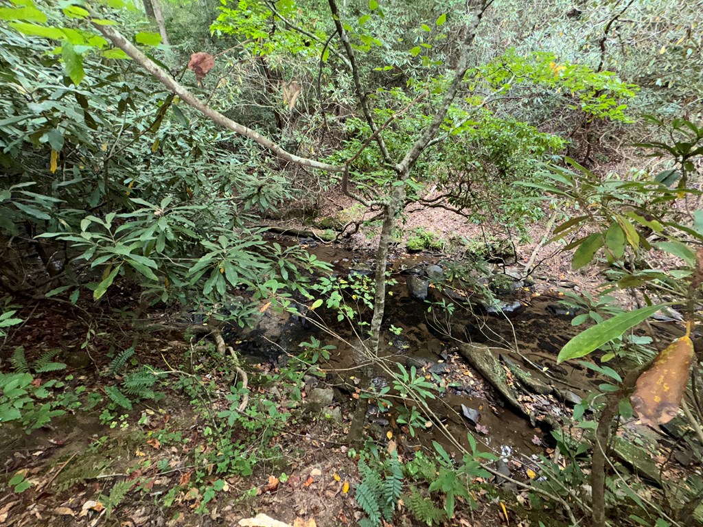 LOT 9 Bitter Creek Lane