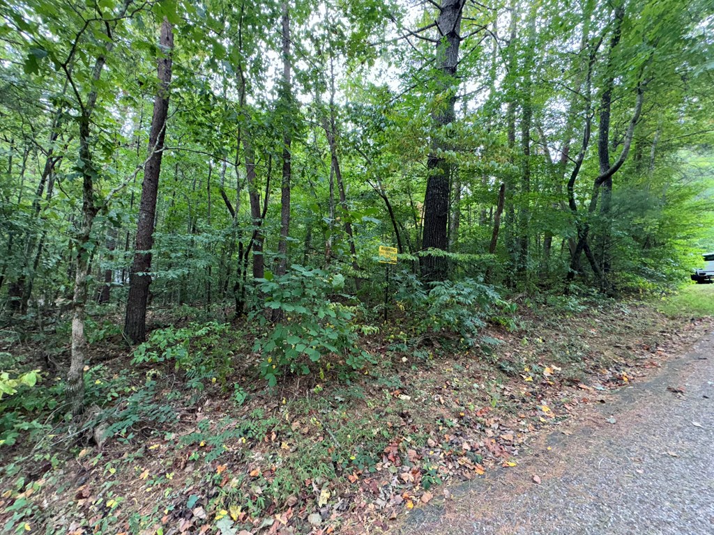 LOT 9 Bitter Creek Lane