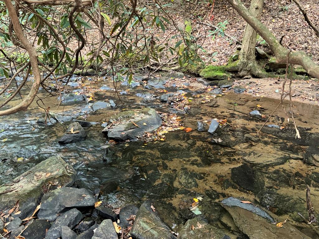 LOT 9 Bitter Creek Lane