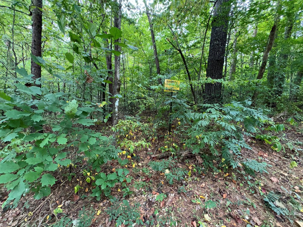 LOT 9 Bitter Creek Lane