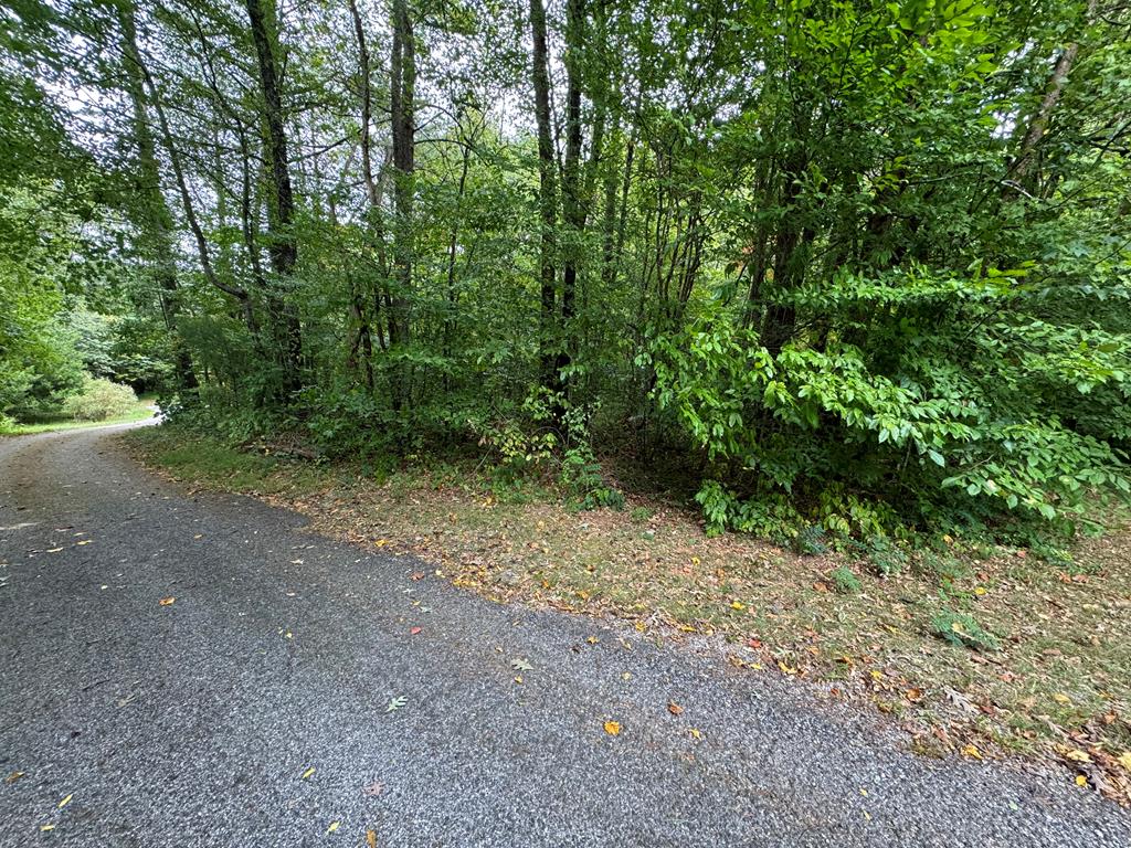 LOT 9 Bitter Creek Lane