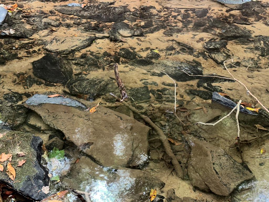 LOT 9 Bitter Creek Lane