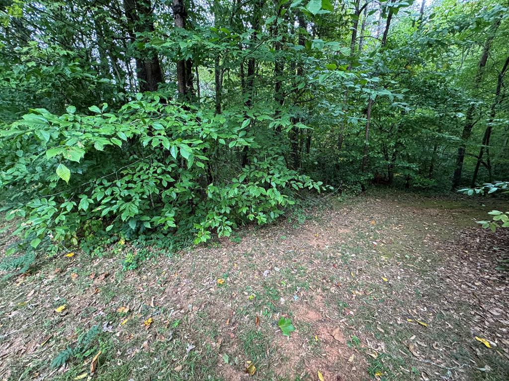 LOT 9 Bitter Creek Lane