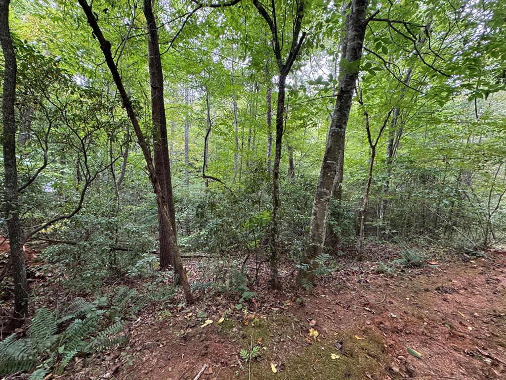 LOT 9 Bitter Creek Lane