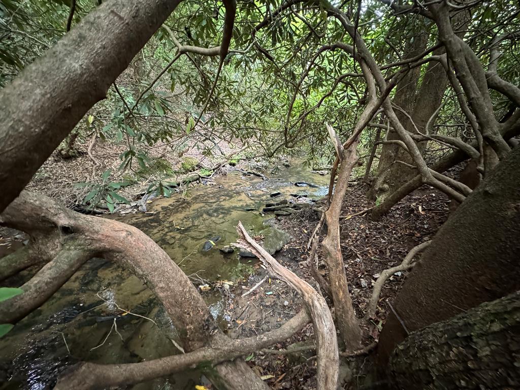 LOT 9 Bitter Creek Lane