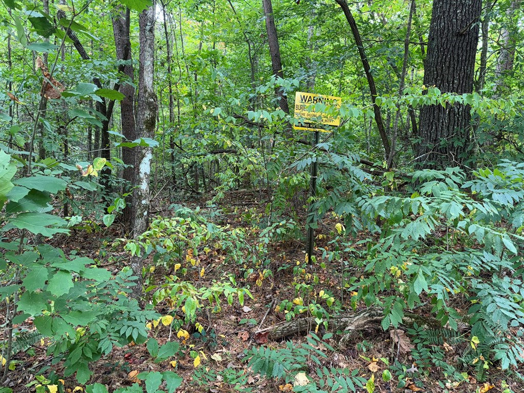 LOT 9 Bitter Creek Lane