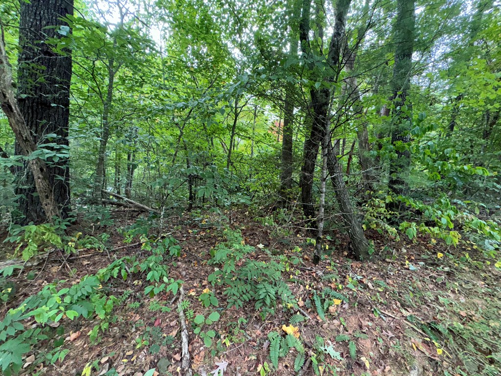 LOT 9 Bitter Creek Lane