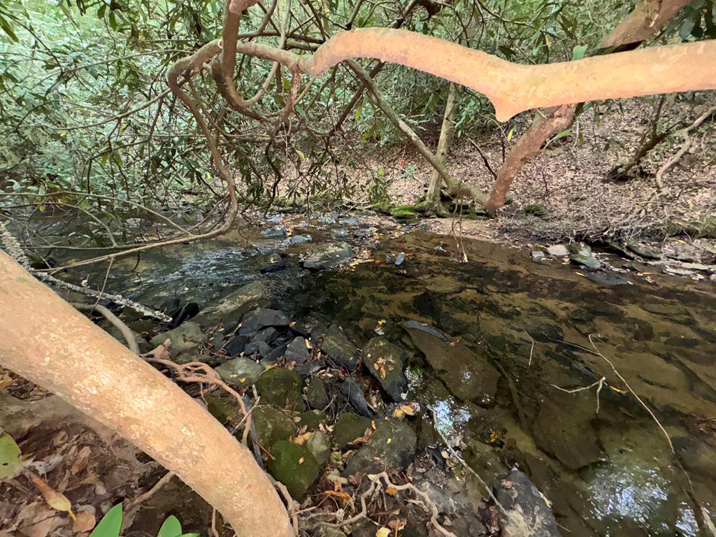 LOT 9 Bitter Creek Lane