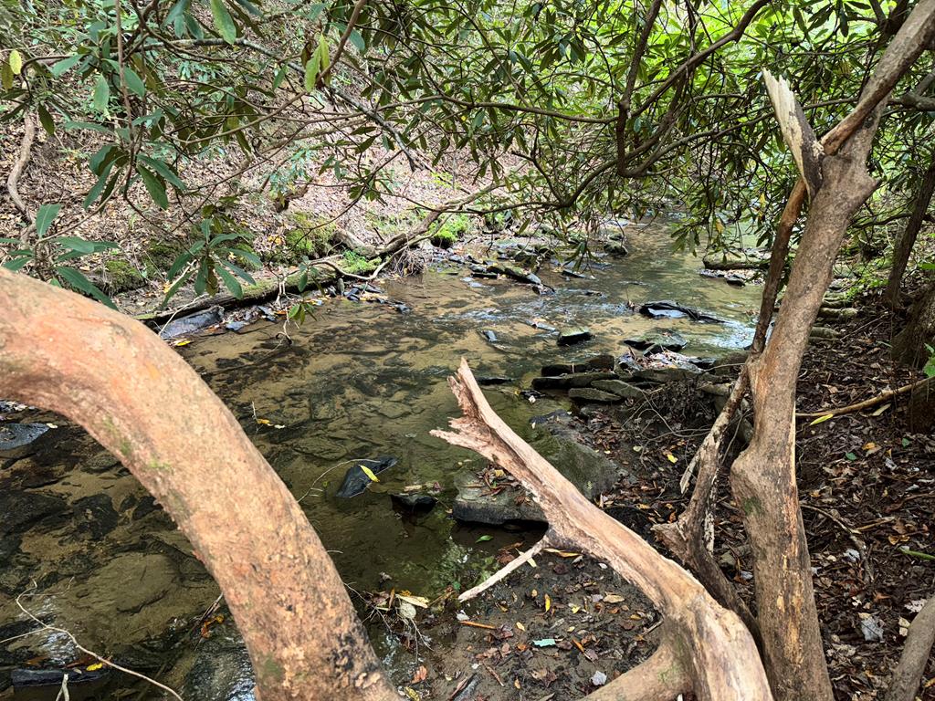 LOT 9 Bitter Creek Lane