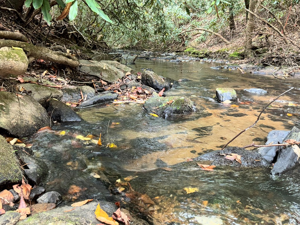 LOT 9 Bitter Creek Lane