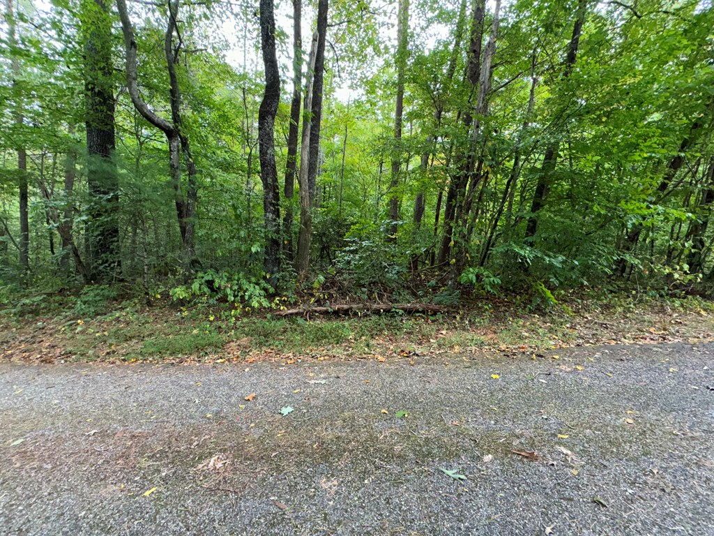 LOT 9 Bitter Creek Lane