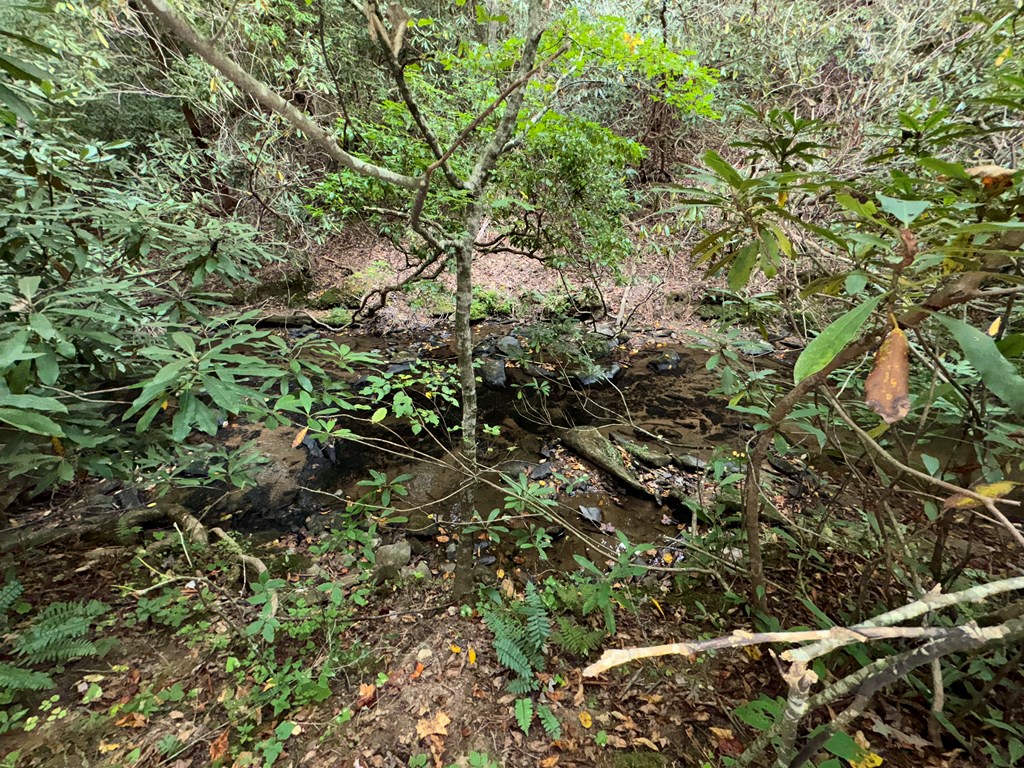 LOT 9 Bitter Creek Lane