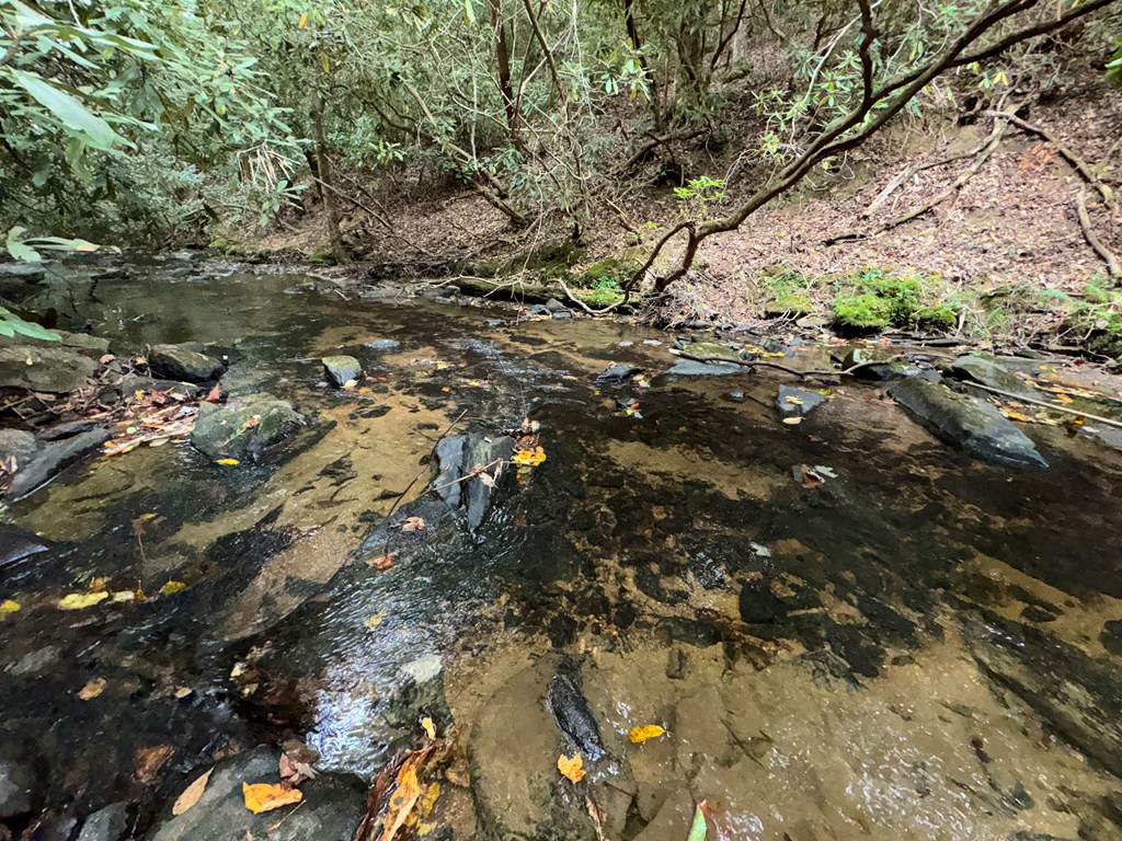 LOT 9 Bitter Creek Lane