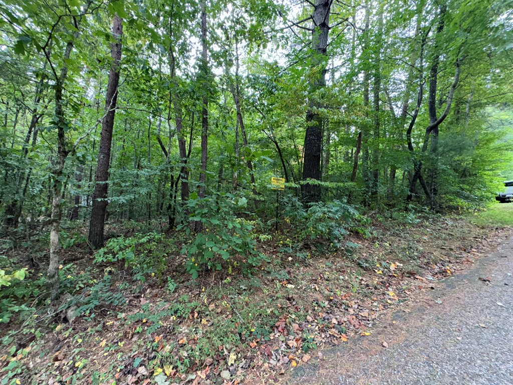 LOT 9 Bitter Creek Lane