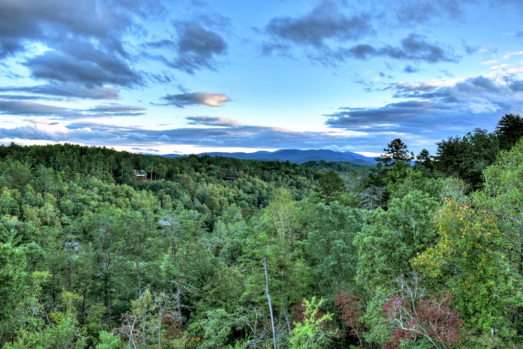 177 Toccoa Vista Lane