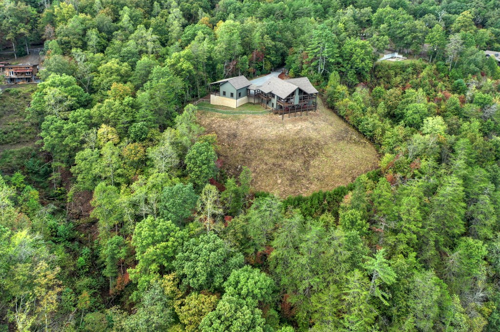 177 Toccoa Vista Lane