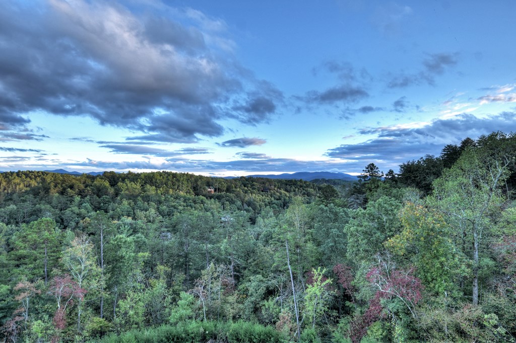 177 Toccoa Vista Lane