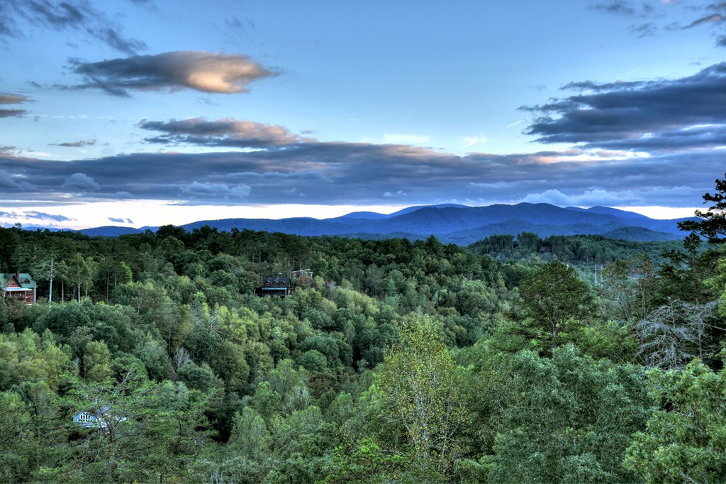 177 Toccoa Vista Lane