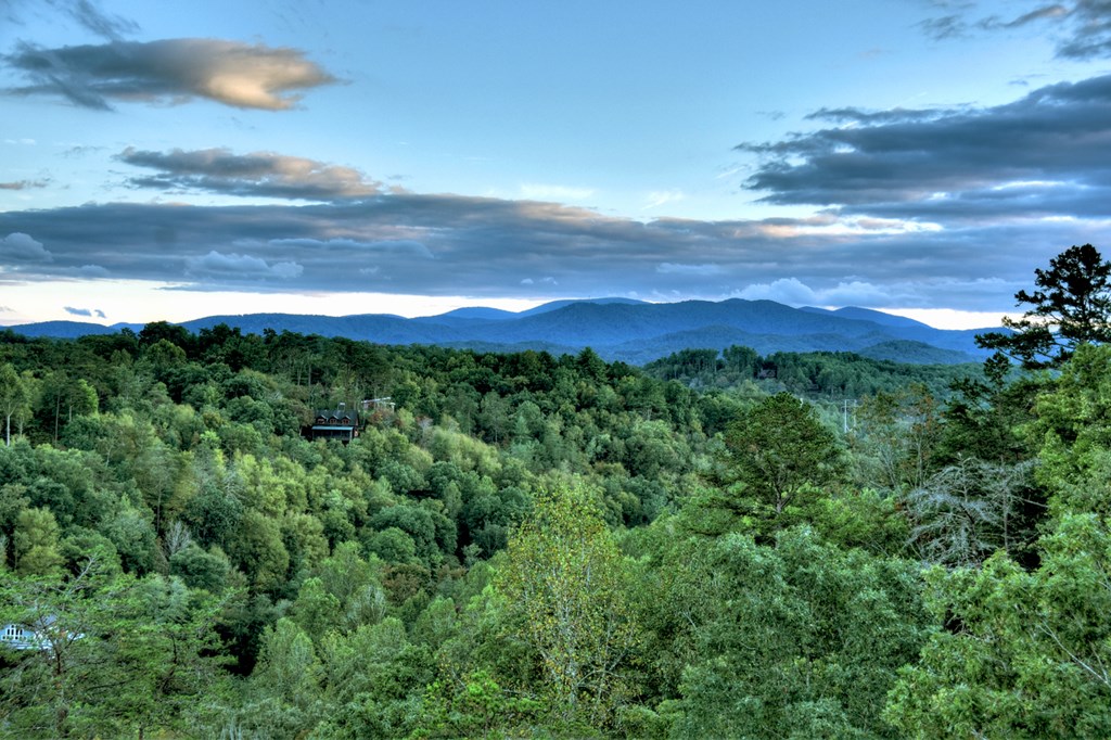 177 Toccoa Vista Lane