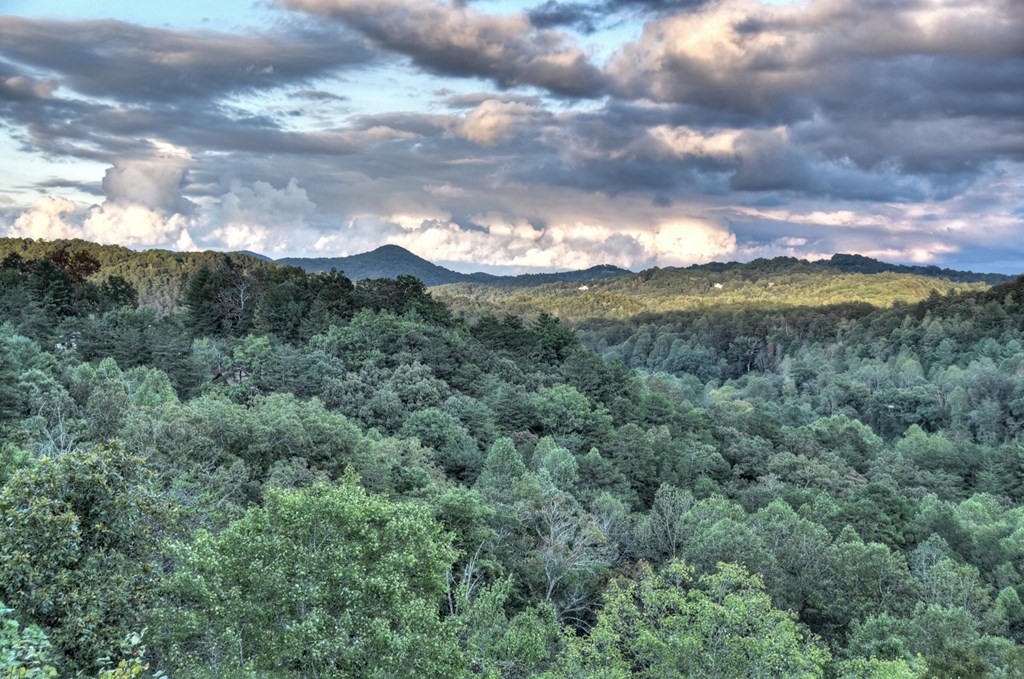 177 Toccoa Vista Lane