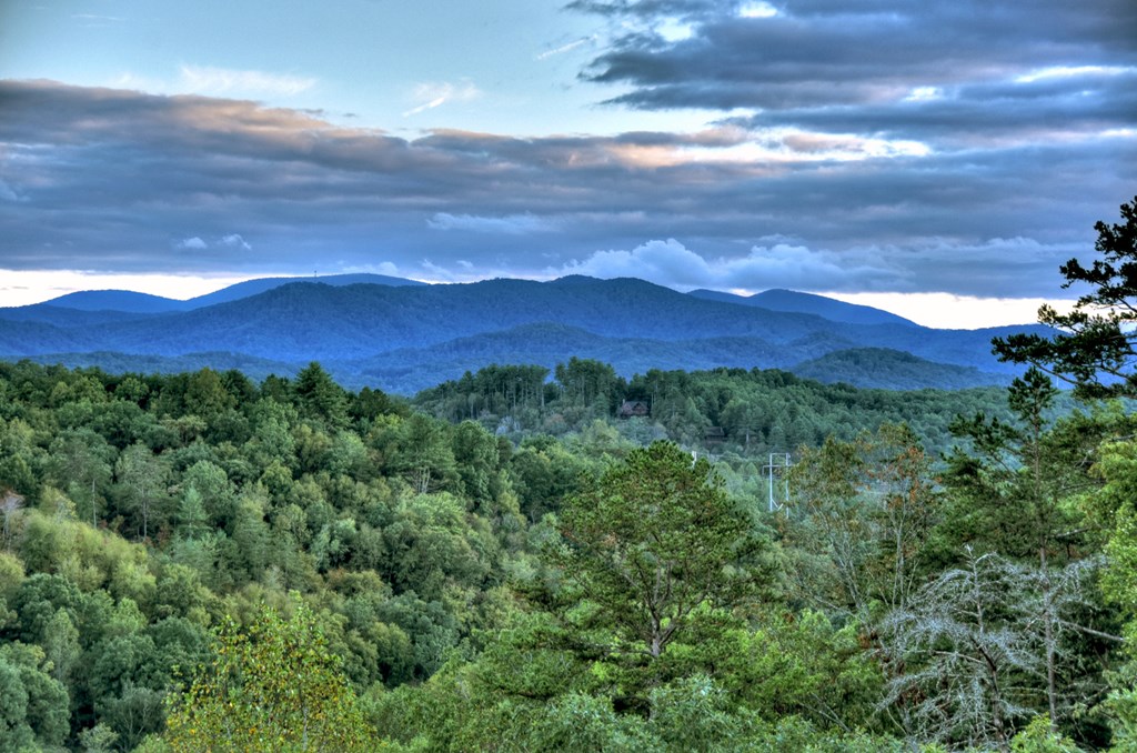 177 Toccoa Vista Lane