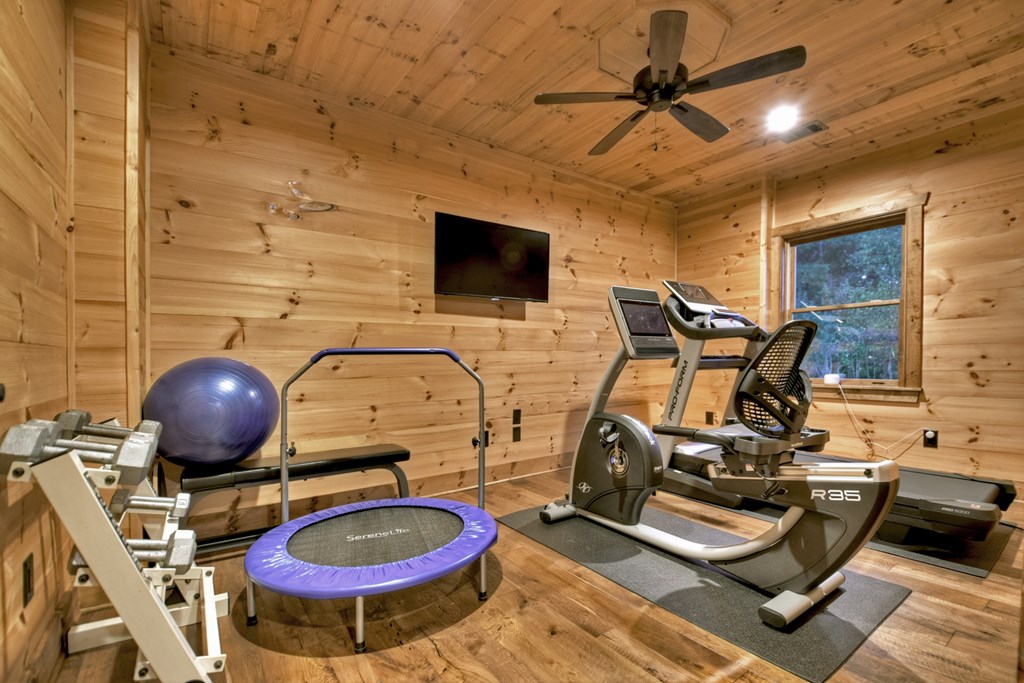 177 Toccoa Vista Lane