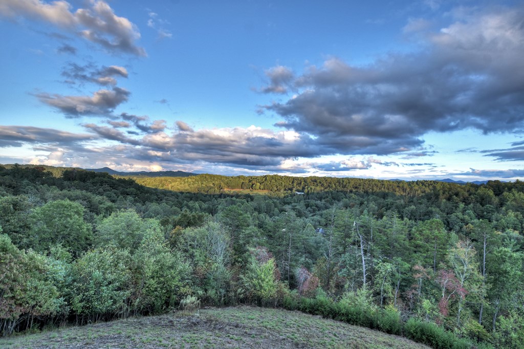 177 Toccoa Vista Lane