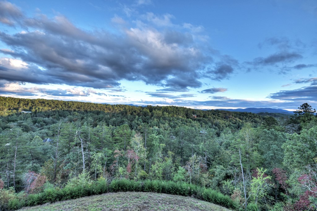 177 Toccoa Vista Lane