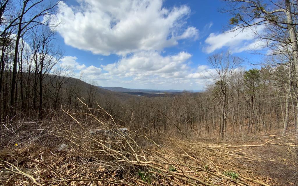 1344 Piney Spur Road S