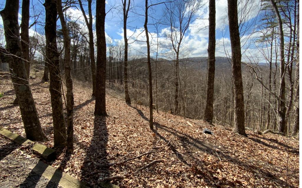 1344 Piney Spur Road S