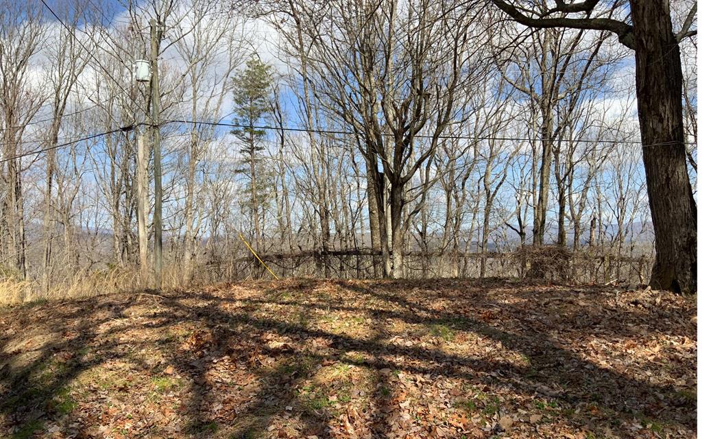 1344 Piney Spur Road S