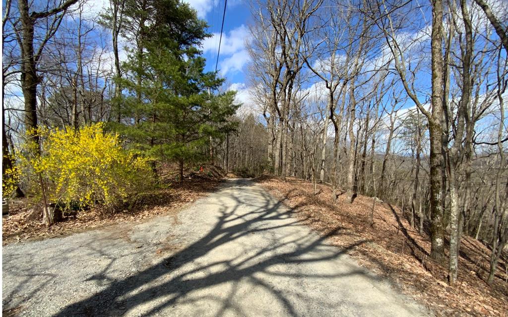 1344 Piney Spur Road S