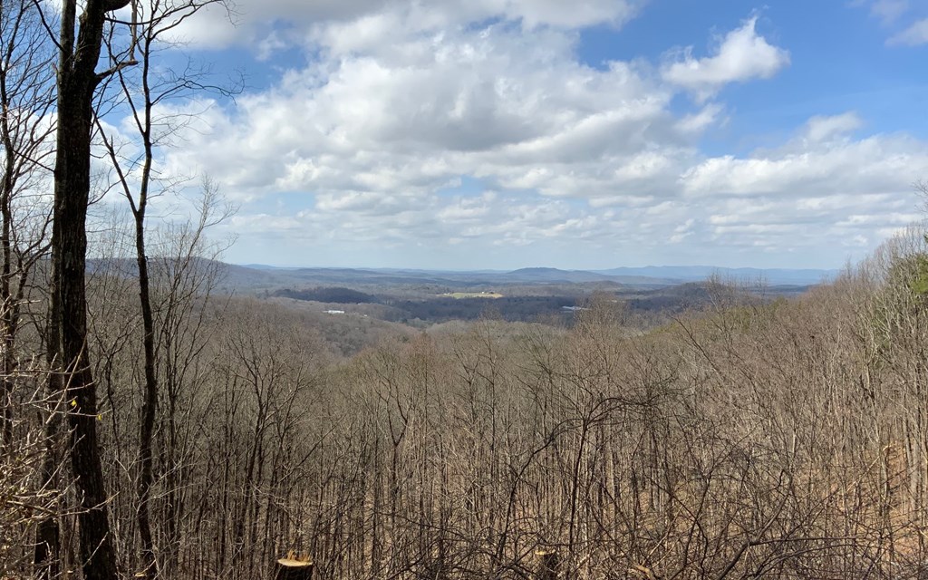 1344 Piney Spur Road S