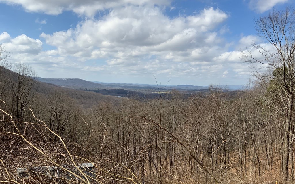 1344 Piney Spur Road S