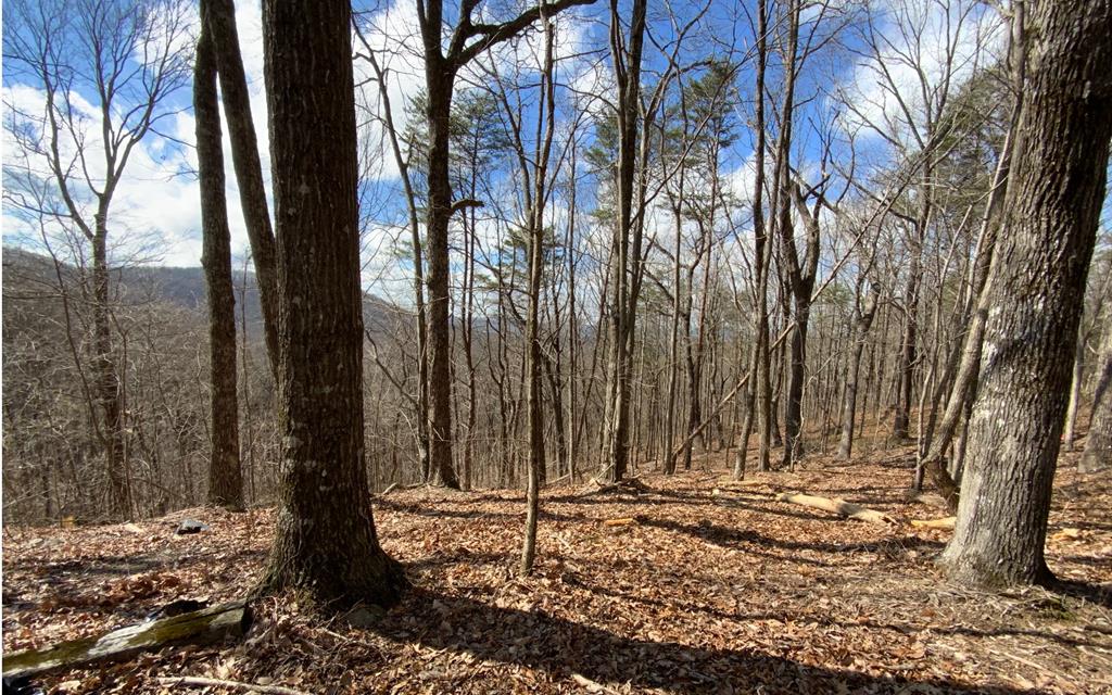 1344 Piney Spur Road S