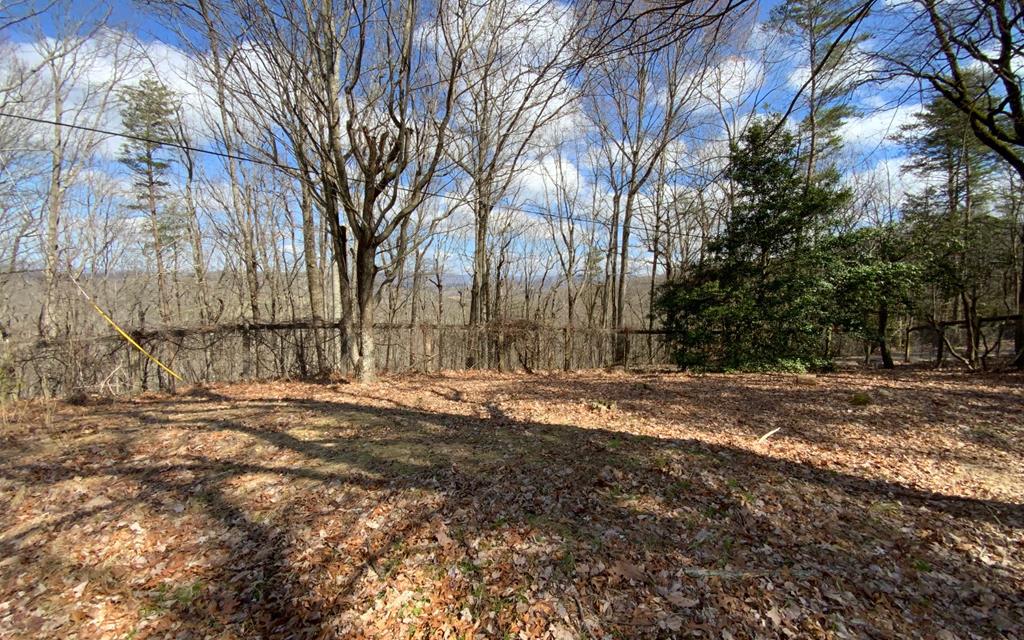 1344 Piney Spur Road S