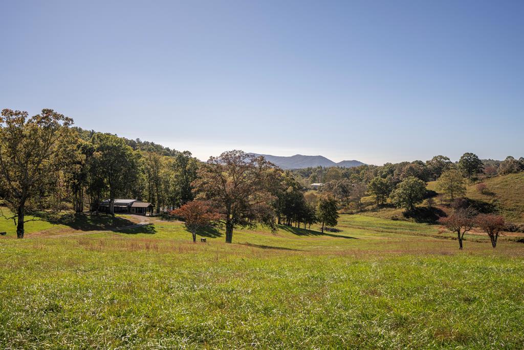 198 Tipton Springs Road