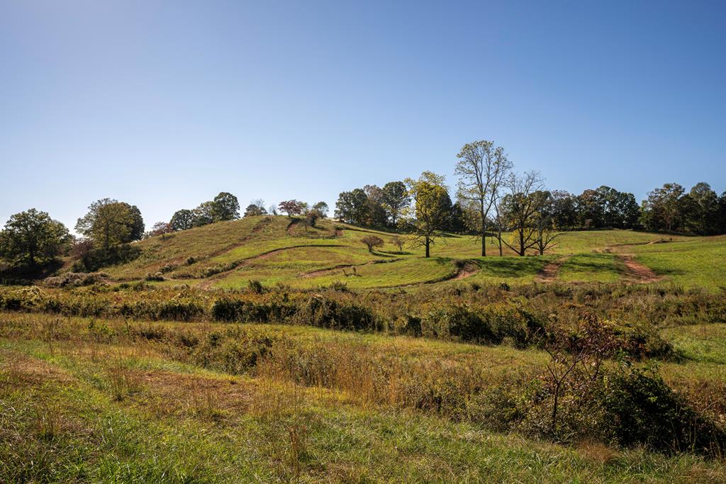 198 Tipton Springs Road