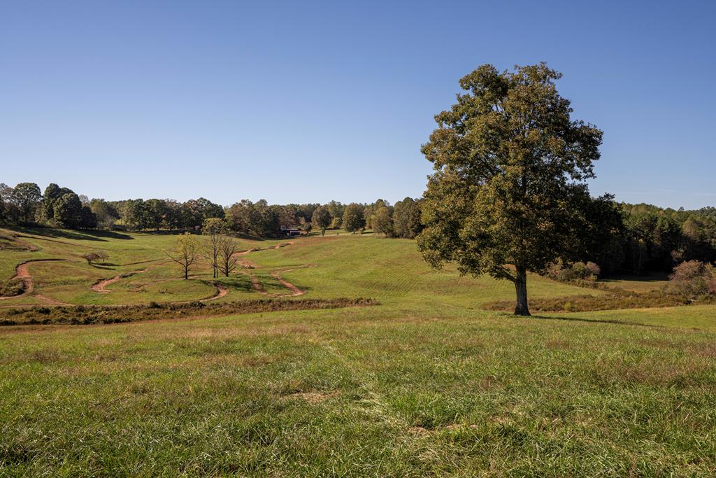 198 Tipton Springs Road