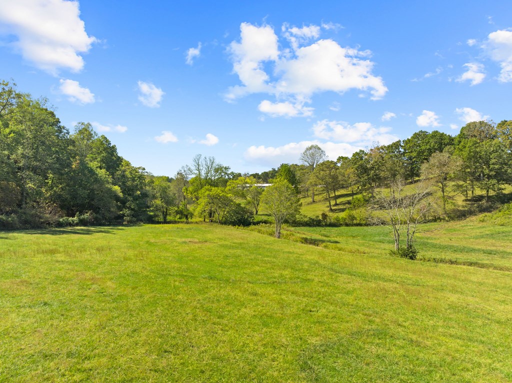 198 Tipton Springs Road