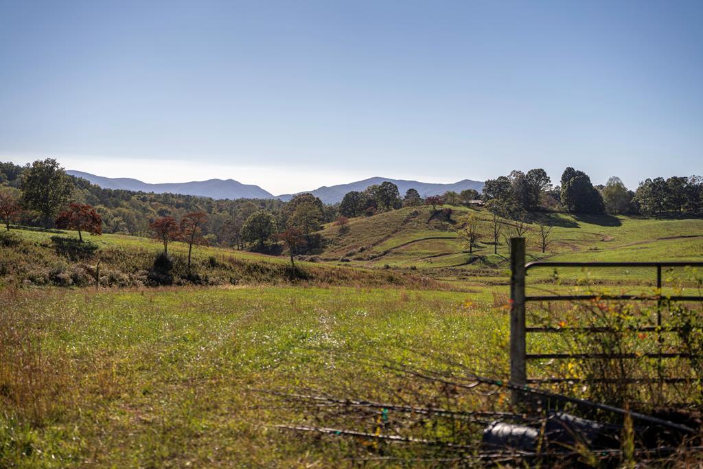 198 Tipton Springs Road