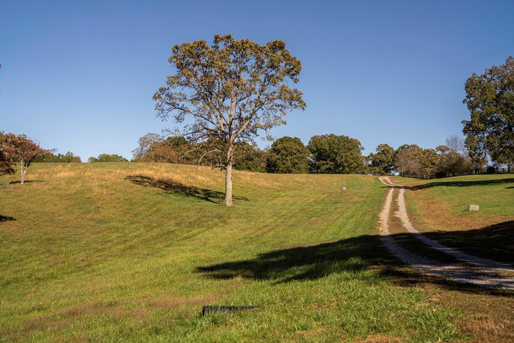 198 Tipton Springs Road