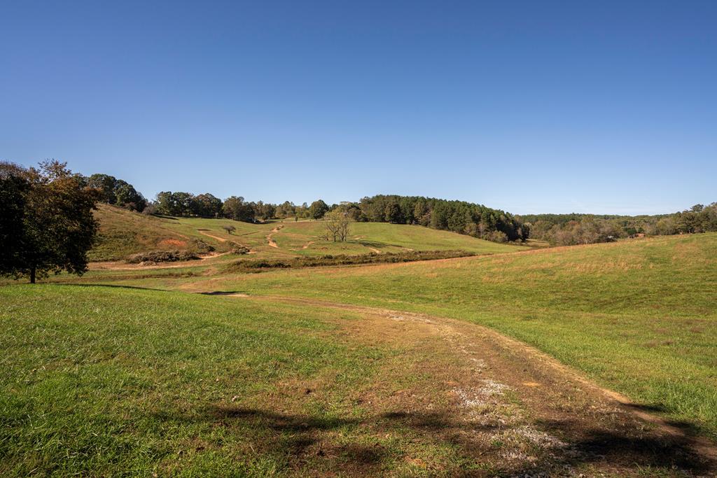 198 Tipton Springs Road