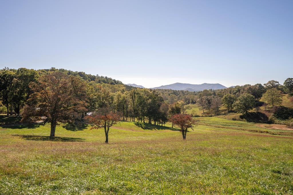 198 Tipton Springs Road