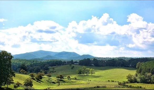 198 Tipton Springs Road