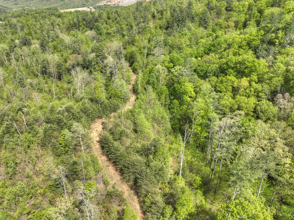 138.06AC N Hwy 515