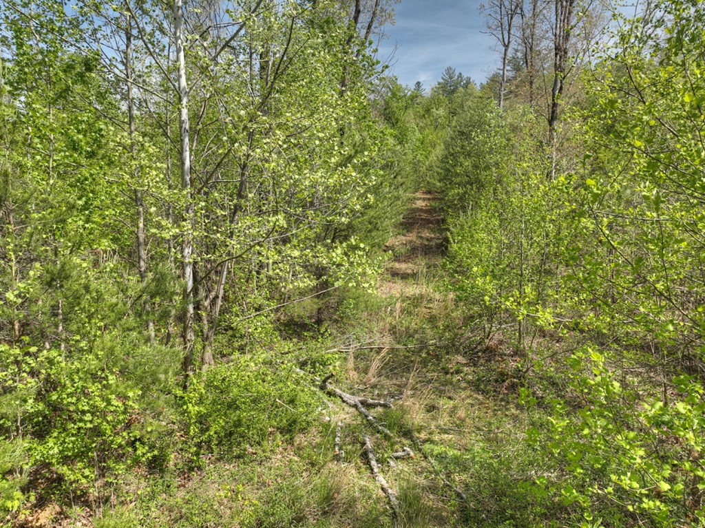 138.06AC N Hwy 515