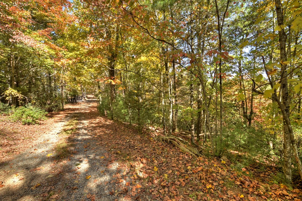 Lot 53 Whitepath Circle N