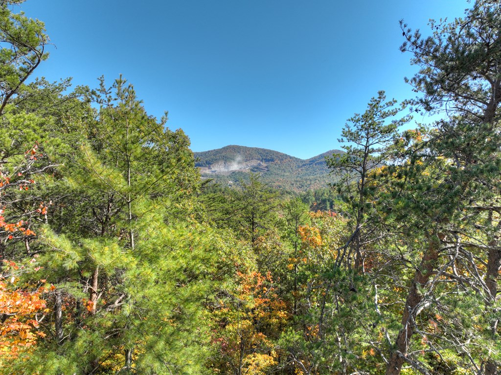 Lot 53 Whitepath Circle N