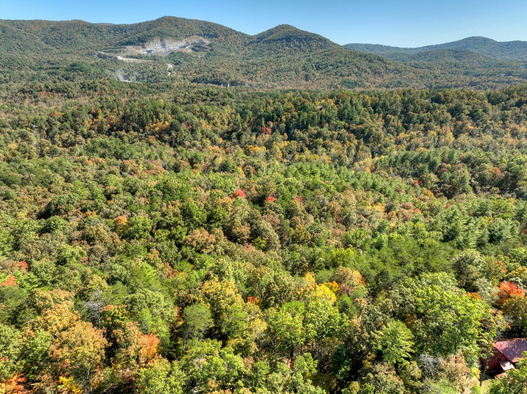 Lot 53 Whitepath Circle N